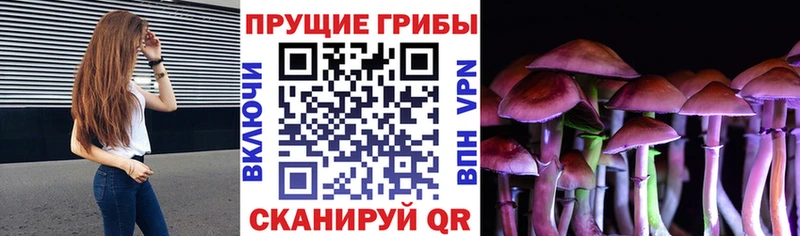 Галлюциногенные грибы Psilocybine cubensis  что такое наркотик  Шацк 